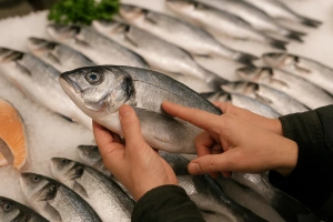 persona seleccionando pescado fresco en un mercado